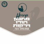 הנריס מזון טבעי קפוא לכלבים הודו וירקות - 6 ק"ג