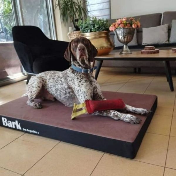 Bark בארק מזרן אורטופדי גדול לכלבים - 120X80