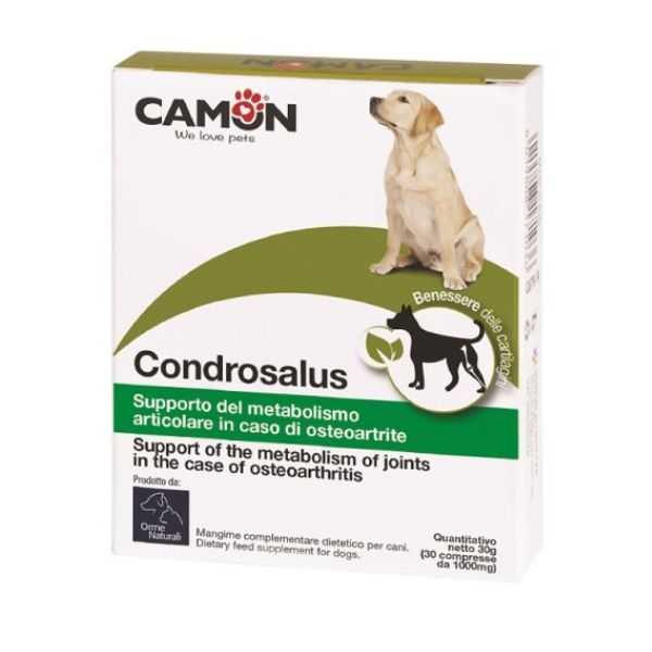 Condrosalus גלוקוזמין לכלבים camon