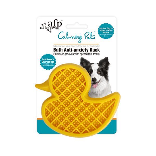 ברווז ליקוק AFP