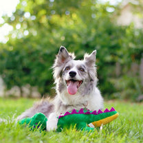 זיפי פוז אלווין התנין