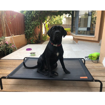 מיטה מוגבהת dogslife טרמפולינה - שחור