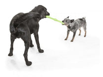 West paw - צעצוע משחק Zwig