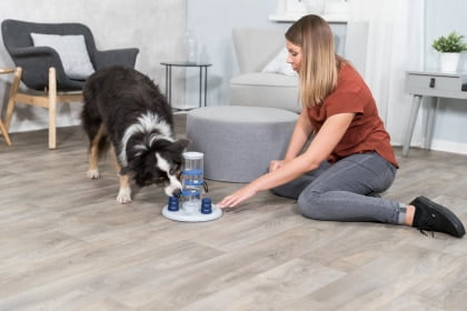 טריקסי משחק אסטרטגיה רמה 2 - Trixie Gambling Tower