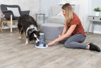 טריקסי משחק אסטרטגיה רמה 2 - Trixie Gambling Tower