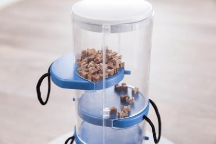 טריקסי משחק אסטרטגיה רמה 2 - Trixie Gambling Tower