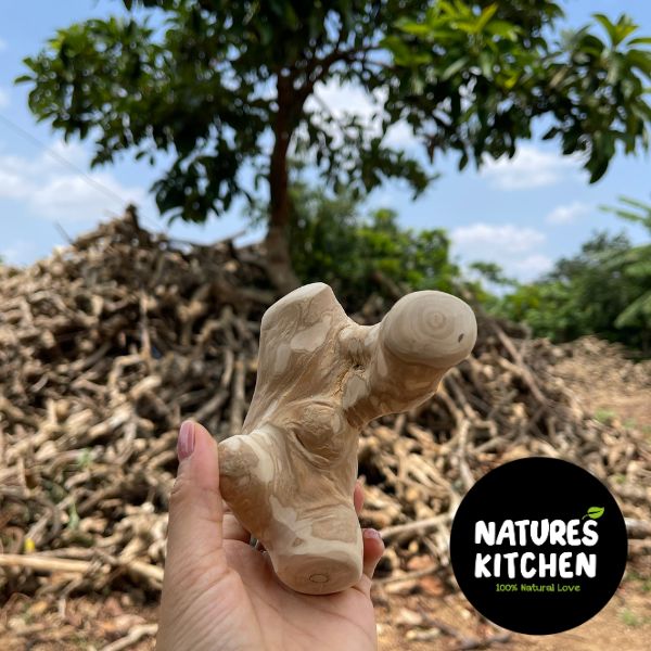 נייצר קיטשן Nature's Kitchen מקל לעיסה עץ קפה 100% טבעי Gorilla Chew - בינוני