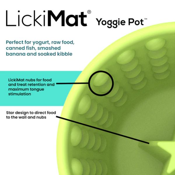 ליקי מט Yoggie Pot כוס האכלה וליקוק - טורקיז