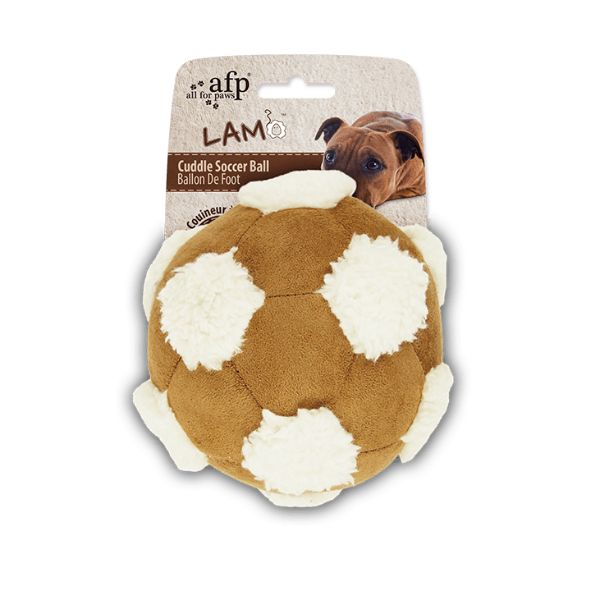 pro-image