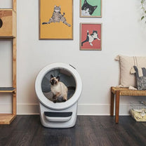 ליטר רובוט 4 לחתולים Litter Robot 4 Black - שחור