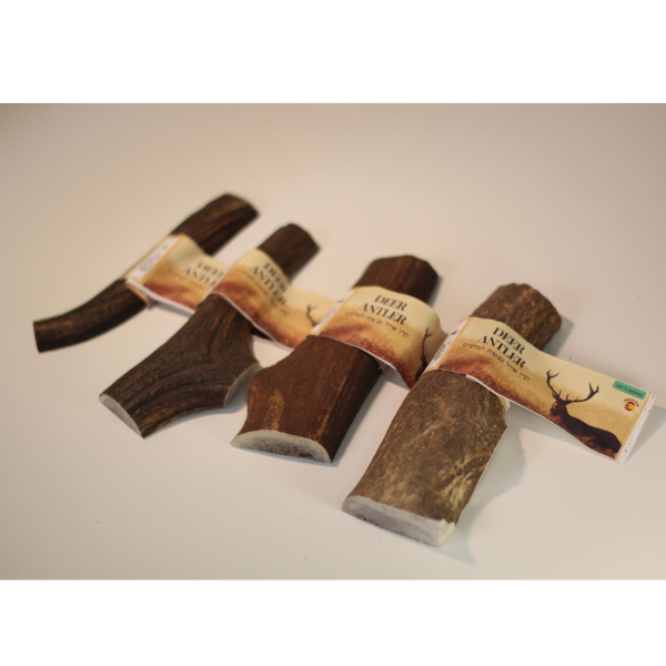 קרן אייל אדום חצויה 100% טבעי - XL
