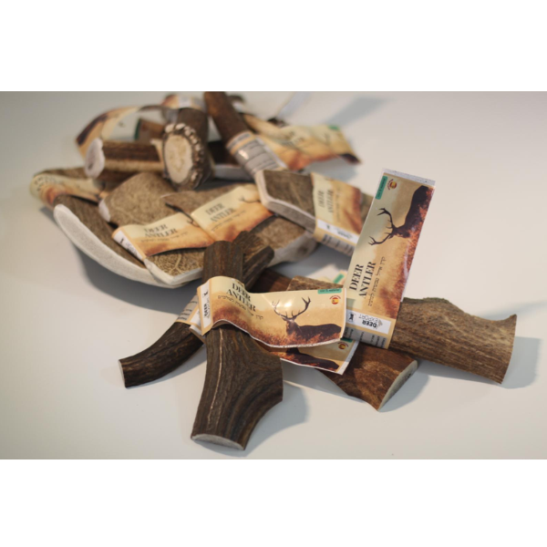 קרן אייל אדום חצויה 100% טבעי - M