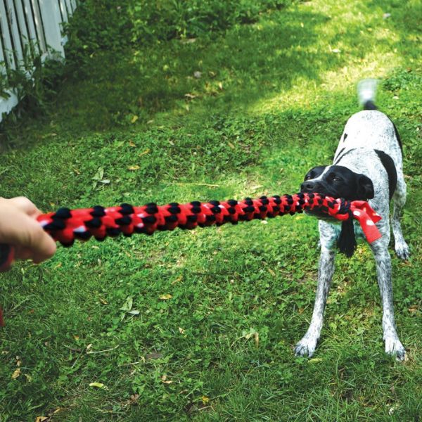 קונג סיגניצר צעצוע חבל כפול למשיכה KONG Signature Tug Toy