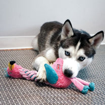 קונג  Knots Twists - חיות עם חבל פלמינגו / ג'ירפה M/L