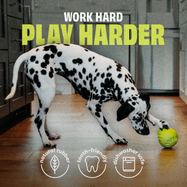 בנבון פובלר Bounce Pawbler צעצוע האכלה לכלבים מגומי טבעי