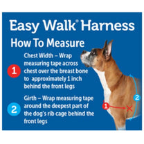 רתמה פטסייף איזי ווק המקורי נגד משיכות Easy Walk אדום