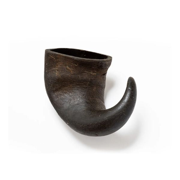 קרן באפולו קטנה 100% טבעית - 1 יח'