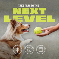 בנבון Bounce Ball כדור אינטראקטיבי מגומי טבעי