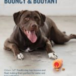 פלאנט גזר האכלה קשיח Outward Hound