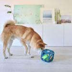 קוביית פאזל Outward Hound