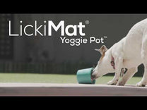 ליקי מט Yoggie Pot כוס האכלה וליקוק - טורקיז